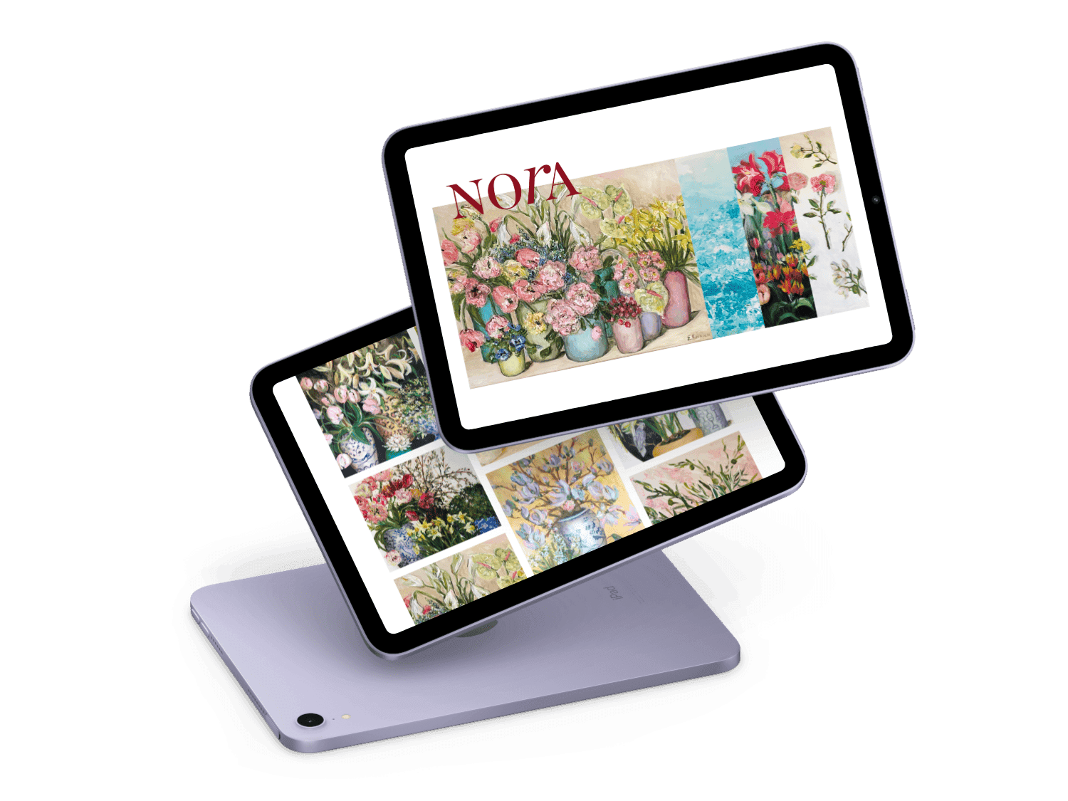 Nora Bonavera website